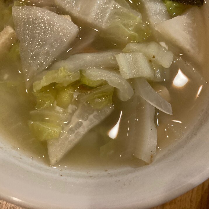 大根と白菜とたまねぎと高野豆腐のスープ
